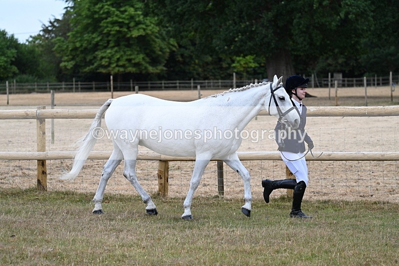 WJ7_8816 - Class 4a Prettiest Mare 14.2hh and over