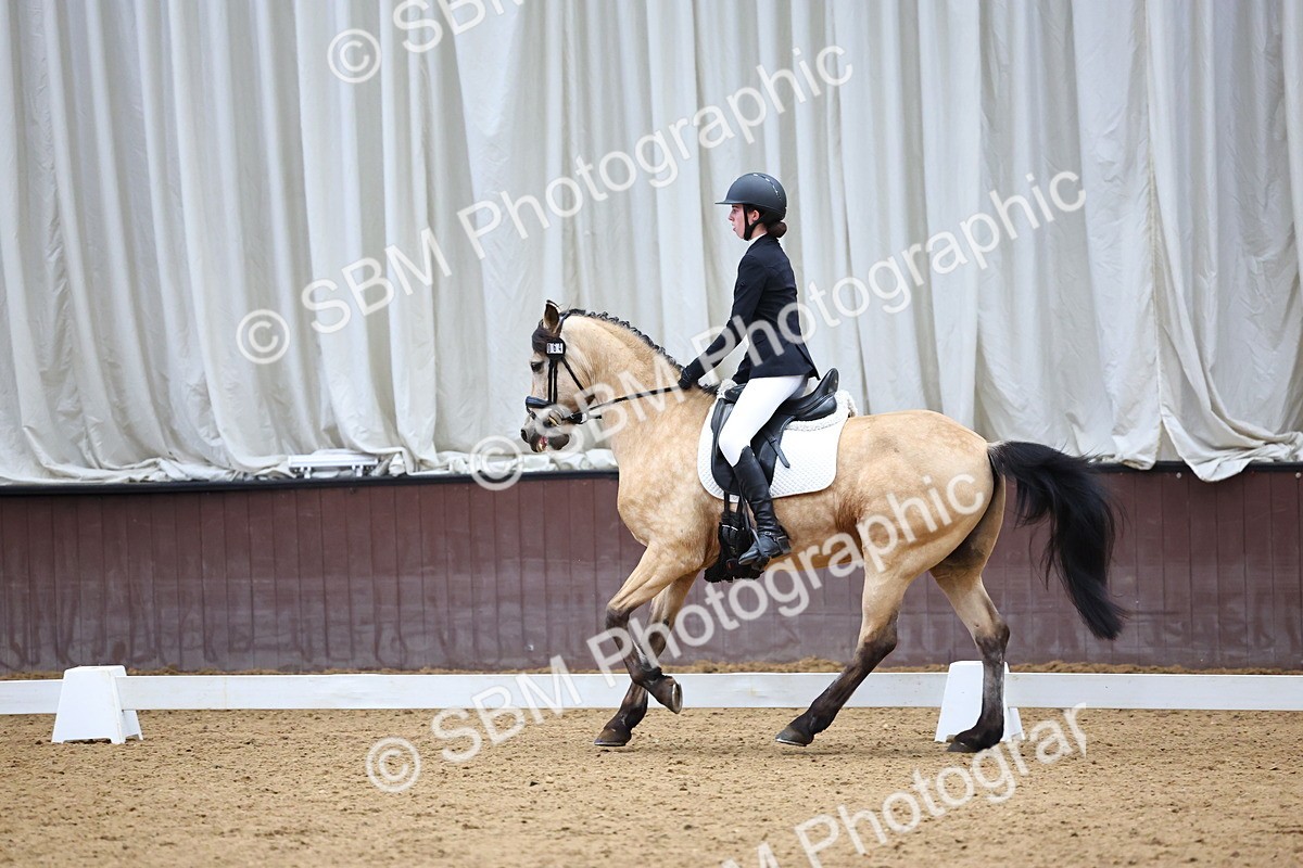 SBM_005441 - Elementary 2