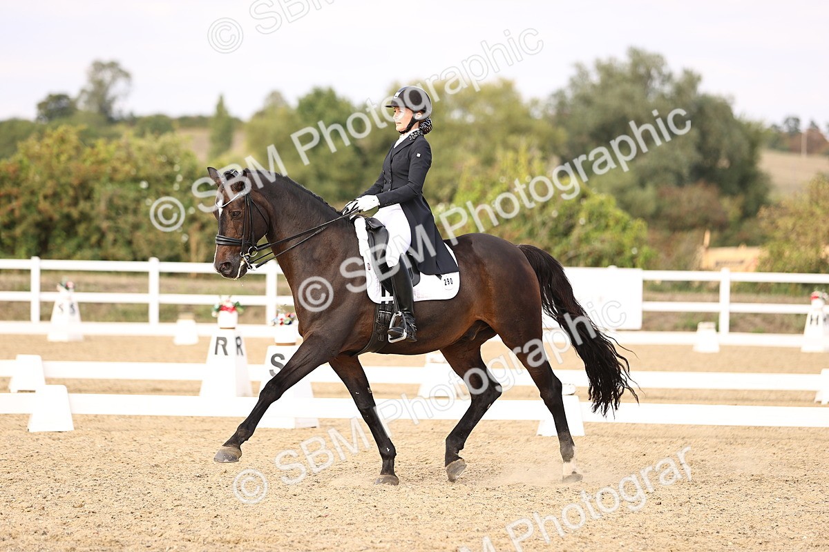 SBM_015548 - Class 11 - FEI PSG