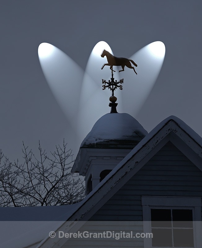 Winter Vane - Winterscape