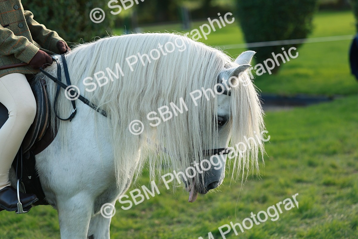 SBM_28792 - S7 - Novice & Newcomer Ridden Pony
