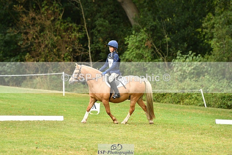 250820A-125737-05701 - 12 to 13.00