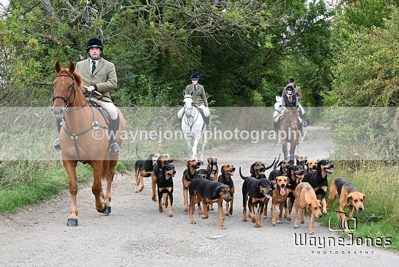 WJ7_0803 - Berks & Bucks Hound Exercise Blewbury 13-09-26