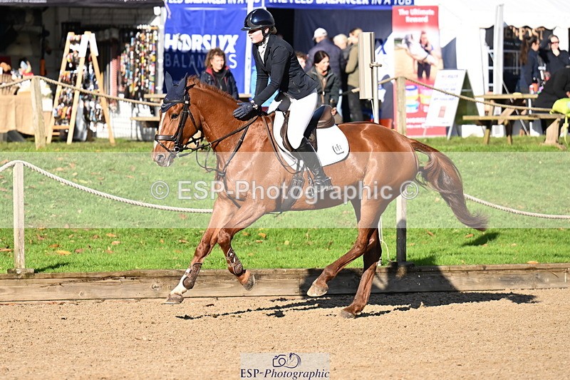 251024A-104918-06587 - B-154-Holly.Law