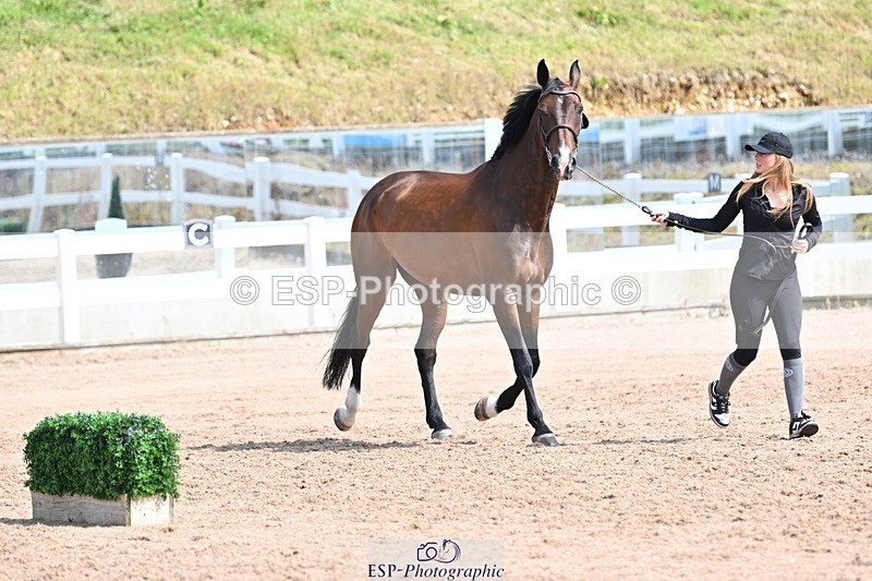 240717A-154107-02975 - Trot Up 3pm to 4pm