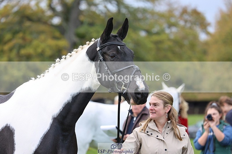 251026A-103723-23146 - G-501-Kathryn.Board