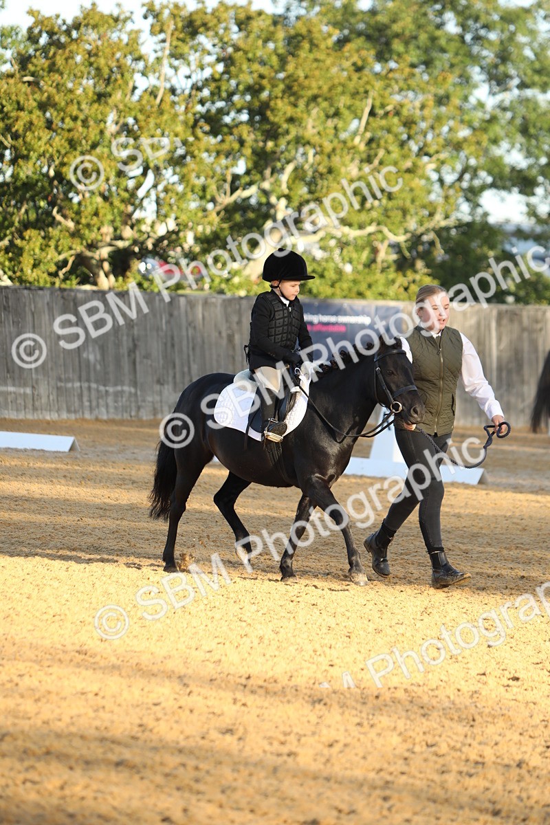 SBM_33554 - D26 - Starers - Lead Rein
