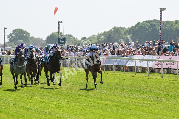 160525-Race 1-Secret Hideaway-6065 - Race 1 2.10pm Clipper EBF Marygate Fillies' Stakes