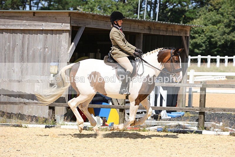 1X9A8832 - Class 19: Riding Club Horse