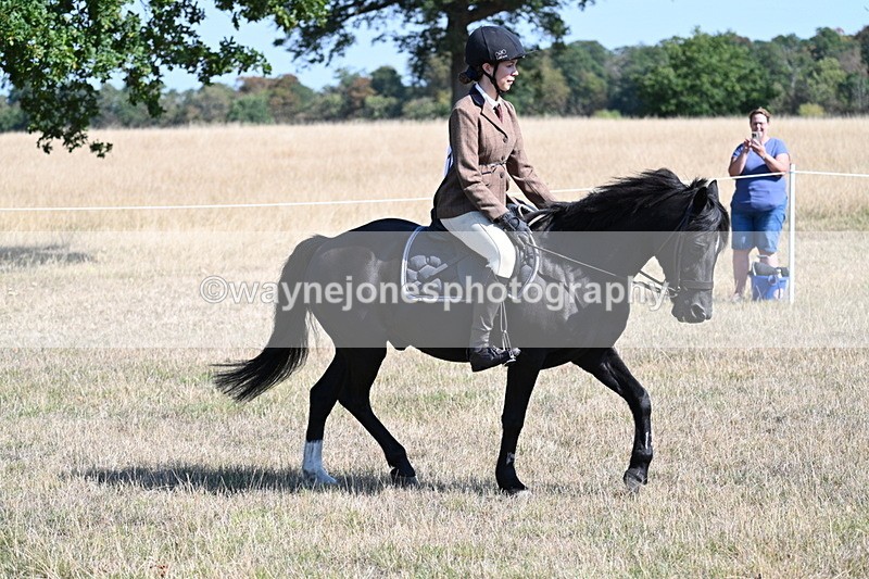 WJ7_3808 - Class 9 Mountain & Moorland Ridden