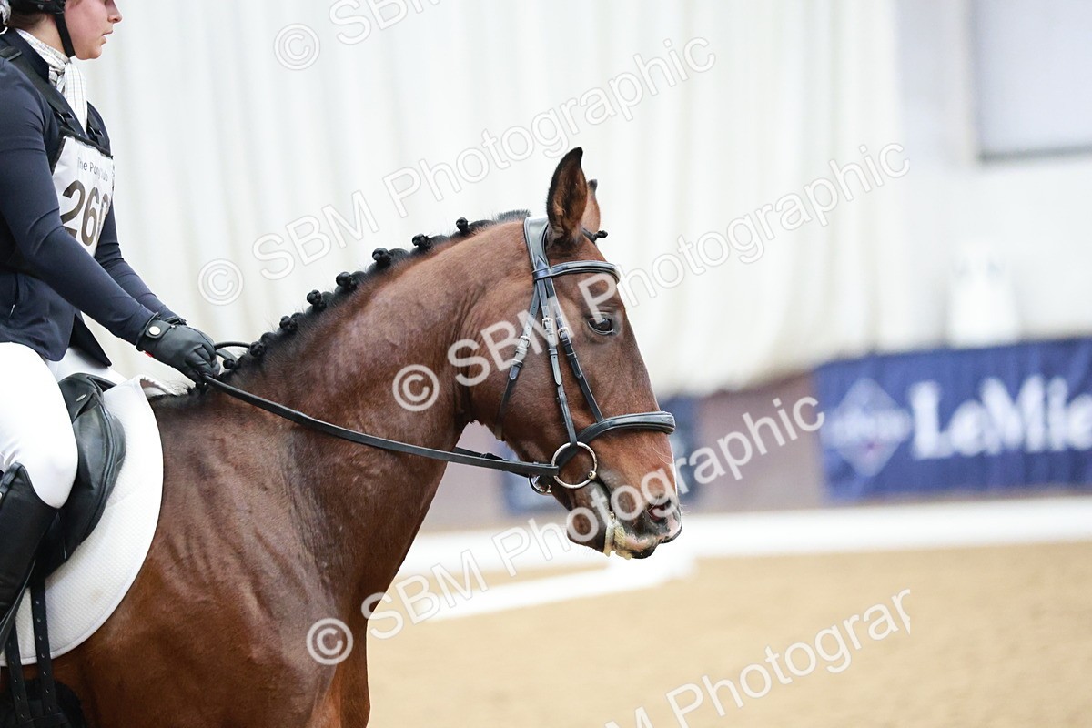 SBM_003988 - Class 2 - Novice 2020