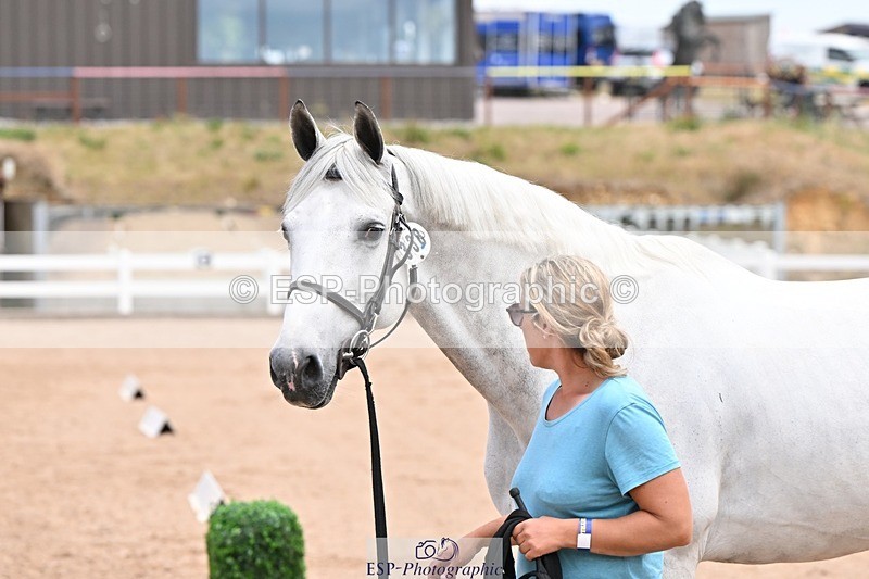 250716-142239-01057 - Trot Up 1.30 to 2.30