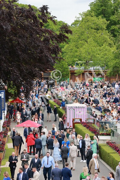 yr21052022r1-5 - Race 1: 1:40pm William Hill Play Responsibly Stakes