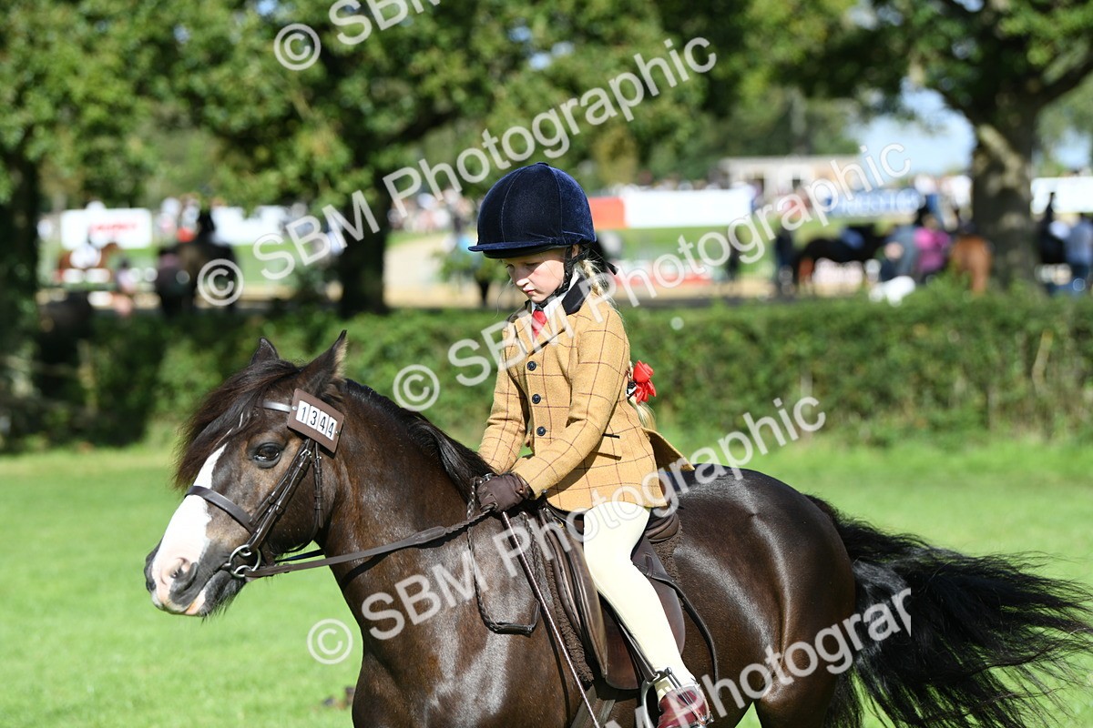 SBM_50356 - S21 - Novice & Newcomers 1st Ridden Pony
