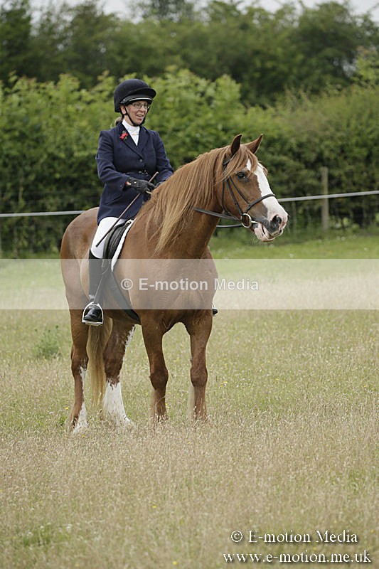 B230619-0306 - Bourne Valley Riding Club Summer Show 23/06/19