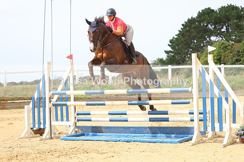 3E7A4294 - Class 8: Senior Foxhunter/1.20 open