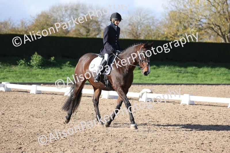 20251101-0553 - Class 4 - Novice 2