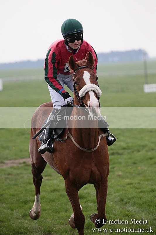 PtP 210418 242 - South & West Wilts Point-to-Point Larkhill 21/04/18