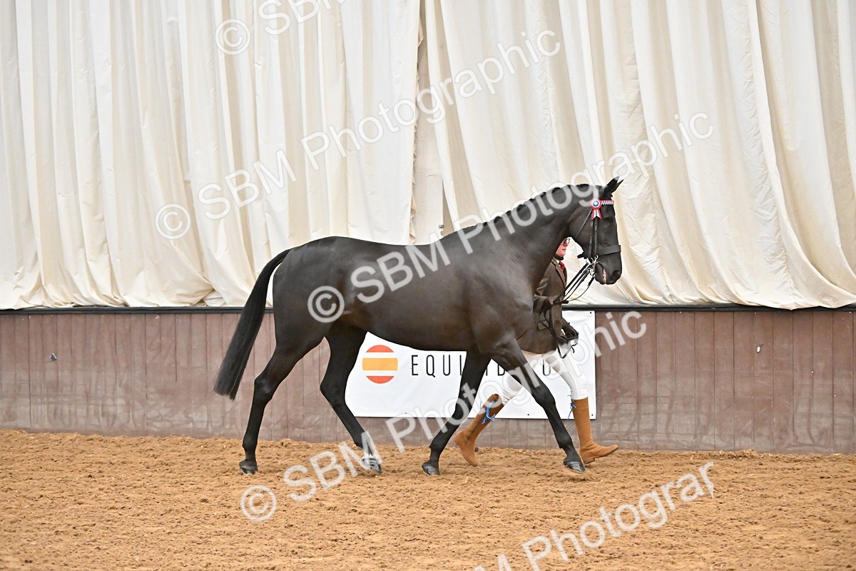 SBM_000220 - Class 7 - ROR Tattersalls In Hand