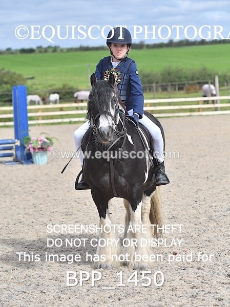 BPP_1450 - DERBY CLASS 2 - 30CM