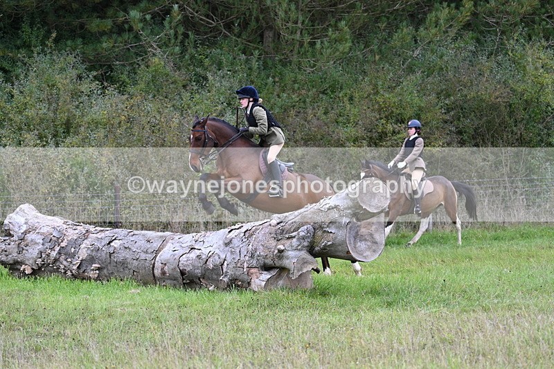 WJ7_3961 - Camera 1 Line 1