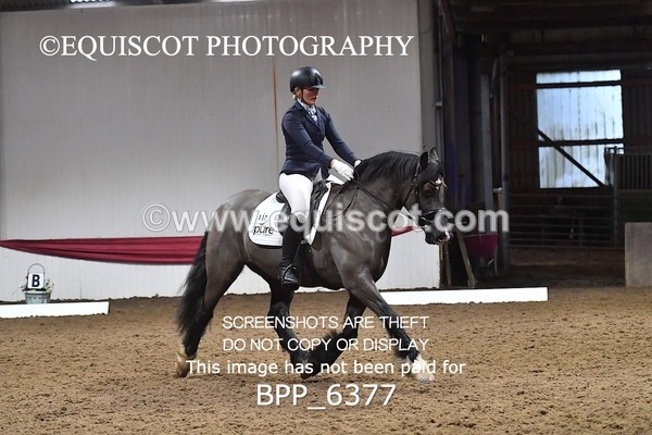 BPP_6377 - 37 Ellis Simister