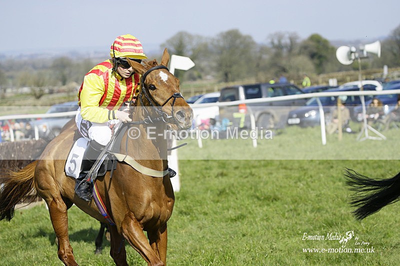 PtP 200322 213 - Mendip Farmers Point-to-Point 20/03/22