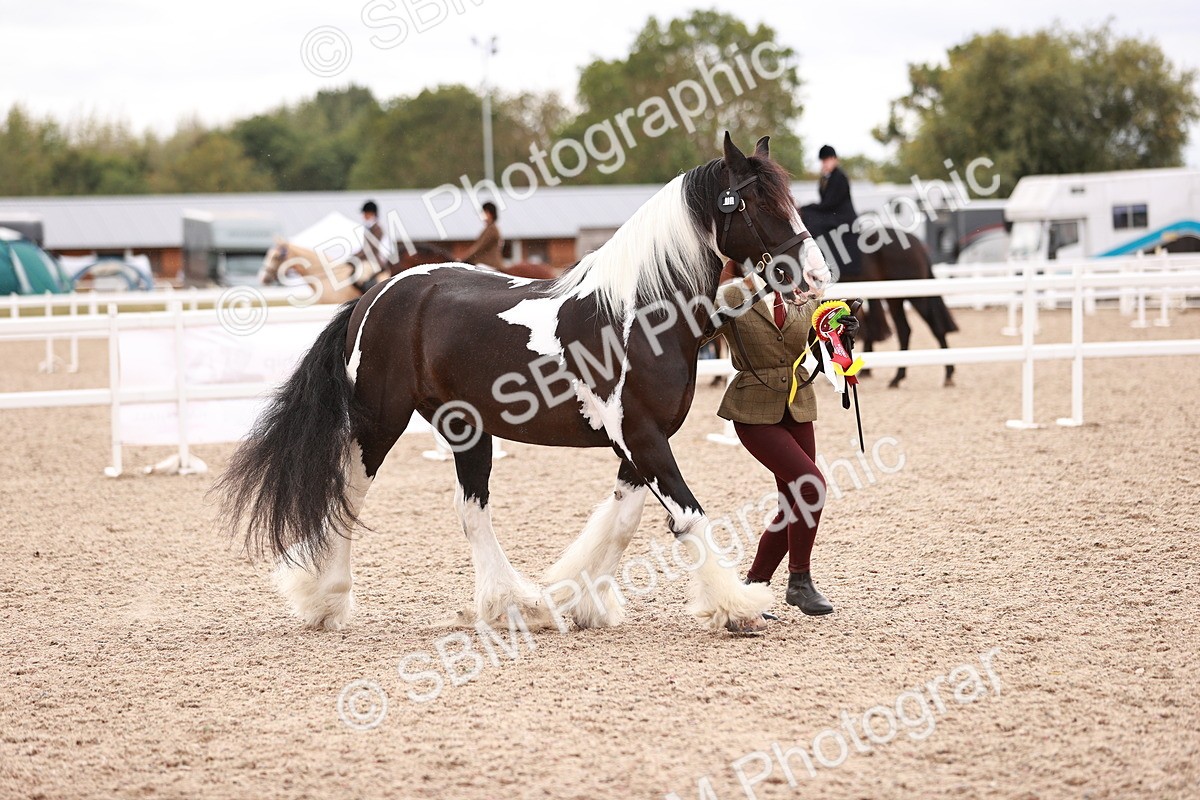 SBM_18523 - Class 420 - Ridden M&M