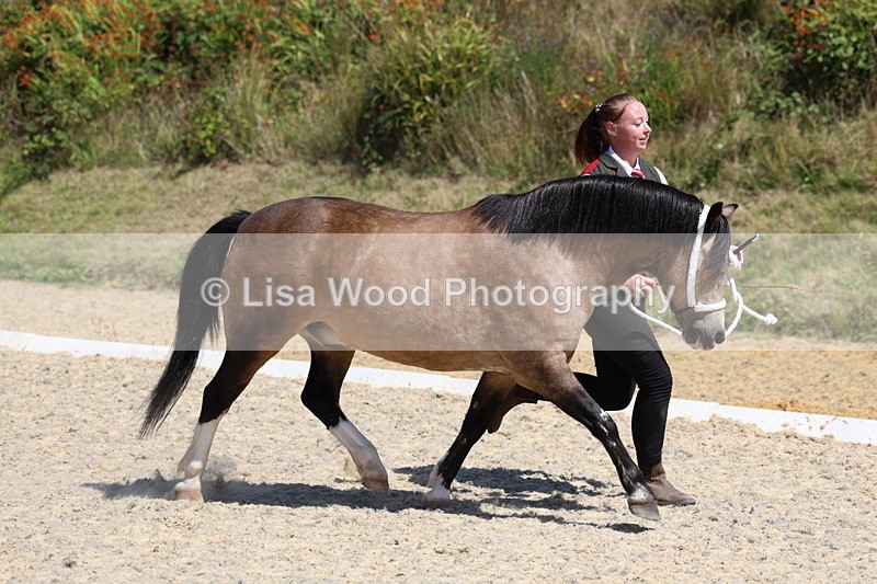 3E7A9571 - Class 32: Best Grass Kept