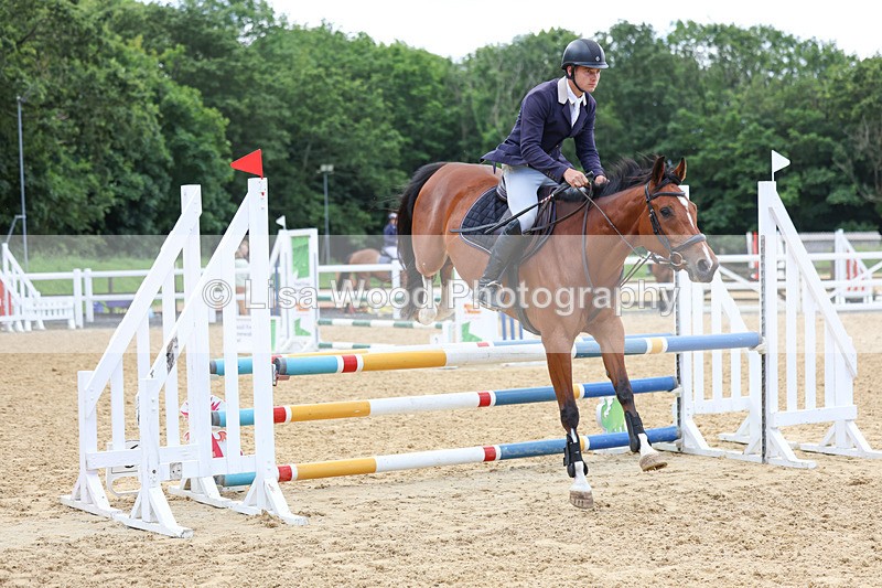 3E7A3208 - Class 4: Senior British Novice/90cm open