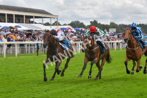 150723-Race 4-Hamish-8710 - Race 4 3.45pm John Smith's Silver Cup Stakes