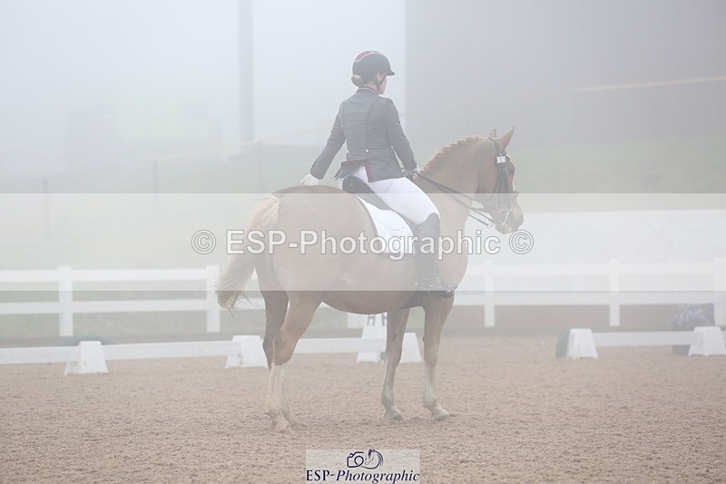 240217A-130104-03013 - 103-Ruth.Saunders-Dizzy.Rascal.VII