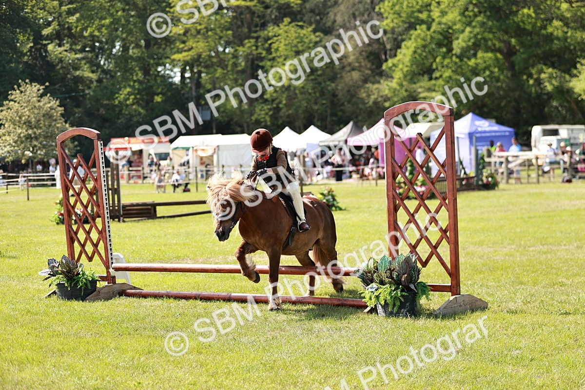 SBM_12765 - Class 106-107 - BSPS LIHS Working Sports Pony