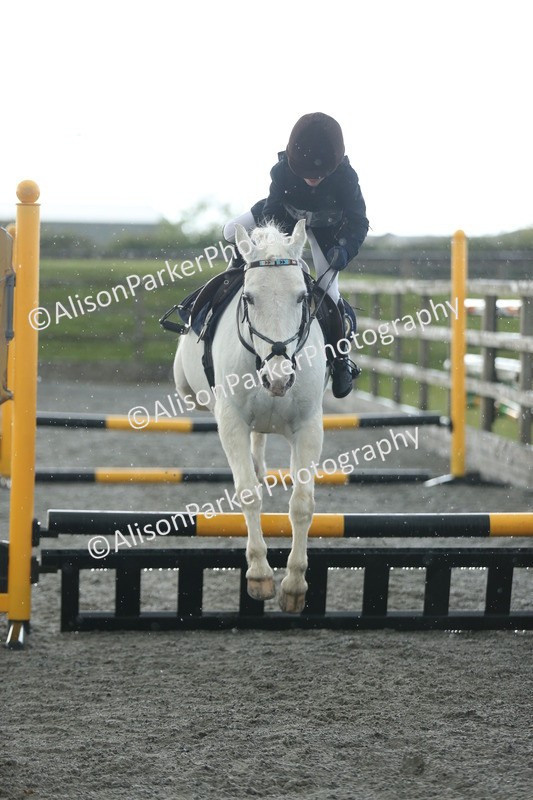 20260412-1934 - Show Jumping