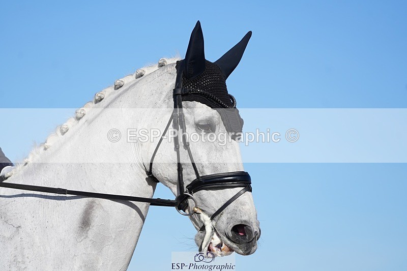 260214-110036-03672 - 030-Stacey.Blunn