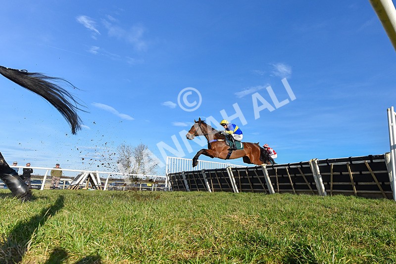 050325-Race 4-Hostile Hotelier-0957 - Race 4