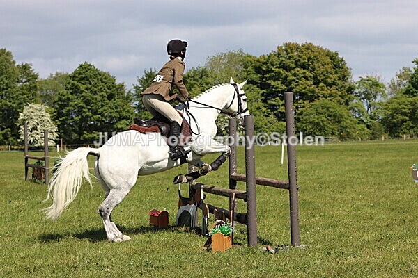 IMG_4493 - Working Hunter