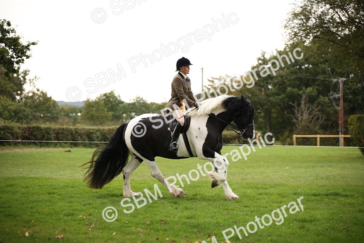 SBM_73597 - S68 - Traditional Cob Ridden