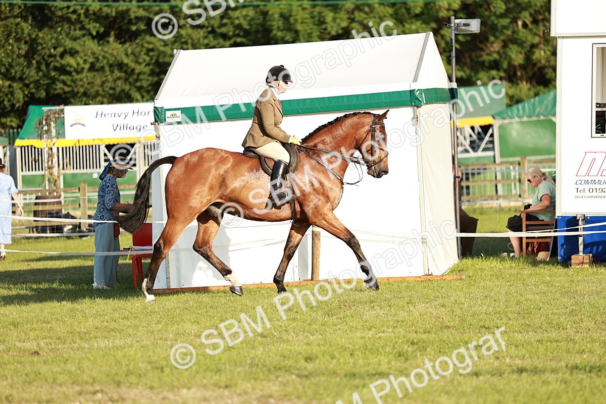 SBM_20435 - Class 117-119 - Sport Horse Working Hunter