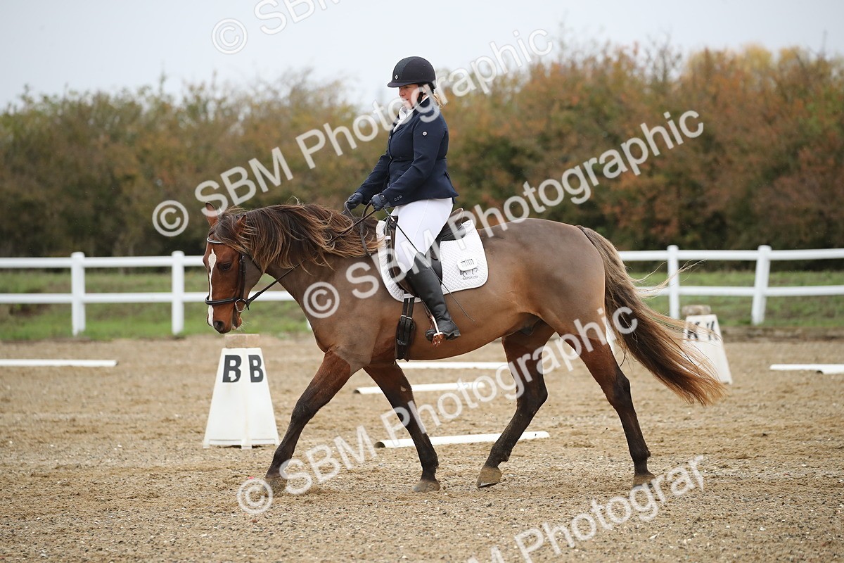 SBM_000500 - Intro 2