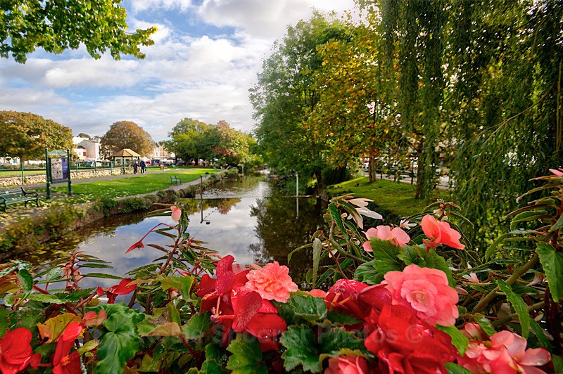 NEW DW39 Colourful flowers on the bridge overlooking The Brook