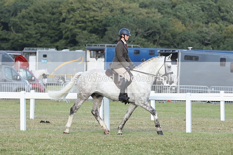 JPP_3515 - Class 22: Working Hunter 90cm