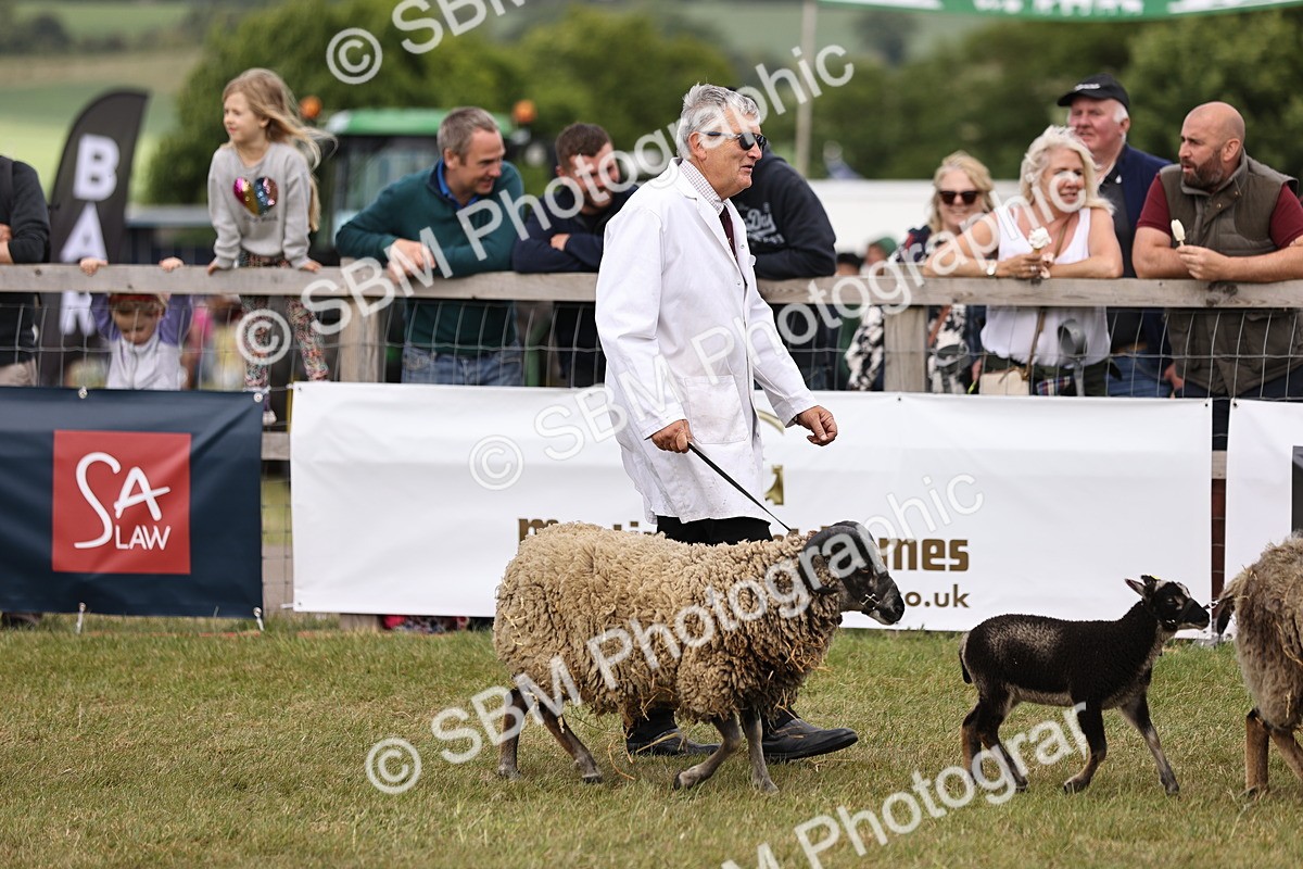 SBM_16869 - Grand Parade