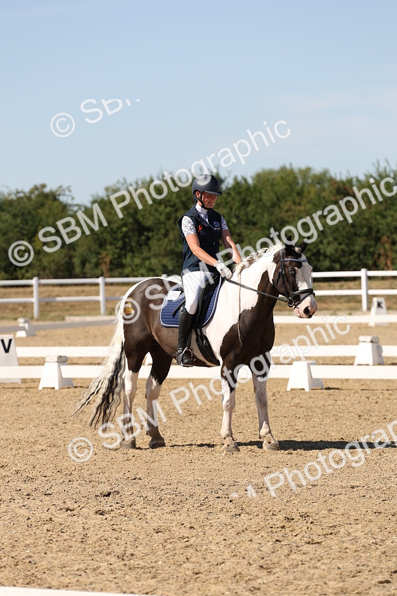 SBM_003684 - Elementary 4