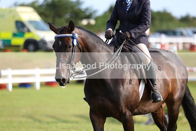 3E7A7763 - Class 1: Rising Star Small Hack/Riding Horses