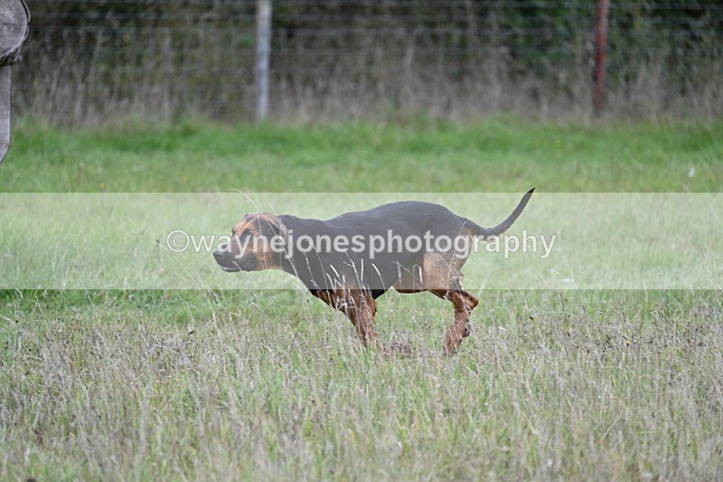 WJ7_3540 - Camera 1 Line 1