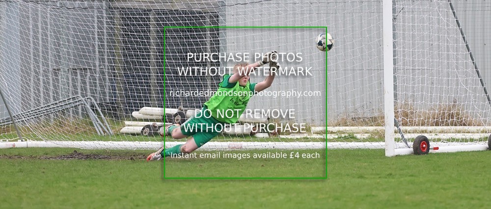 533A6260 - Lonsdale Terriers