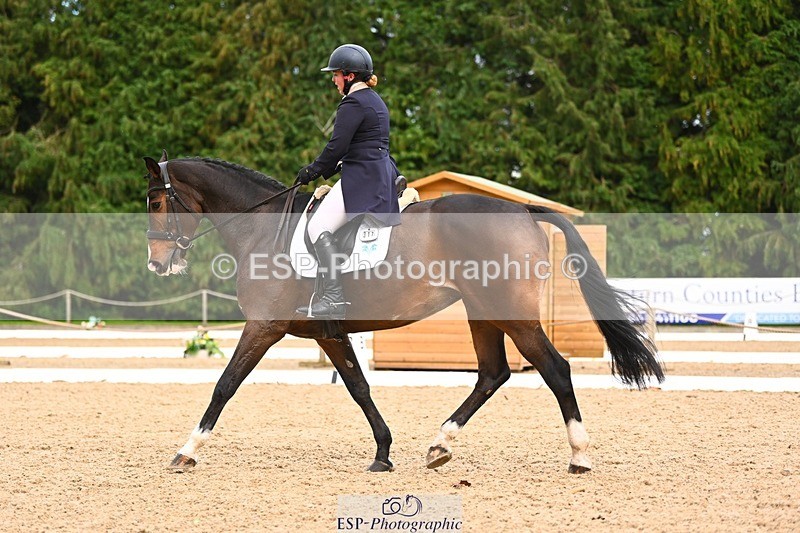 231020-163902-12337 - 317-THREEROCKS.PEGGY.BAWN-Harriet.Dickin-DR