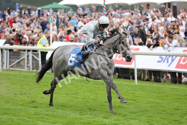 yr24072021r4-20 - Race 4 3.50pm Sky Bet Britain's Most Popular Online Bookmaker EBF Restricted Novice Stakes (Plus 10