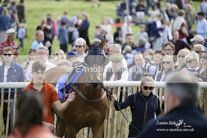 PtP 180422 42 - Old Berkshire PtP Lockinge 18/04/22